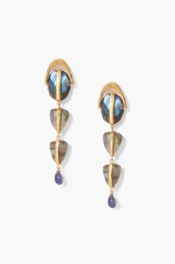 Labradorite Mix Rise Earrings